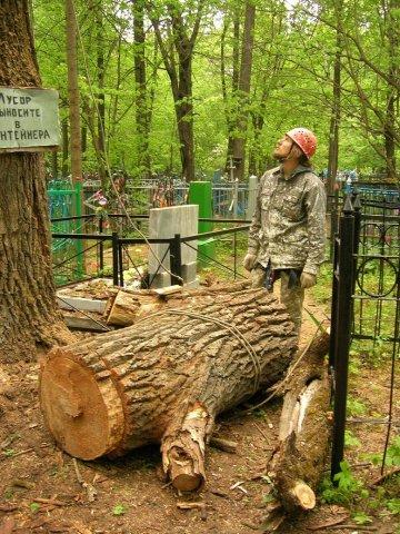 Кронирование и удаление деревьев